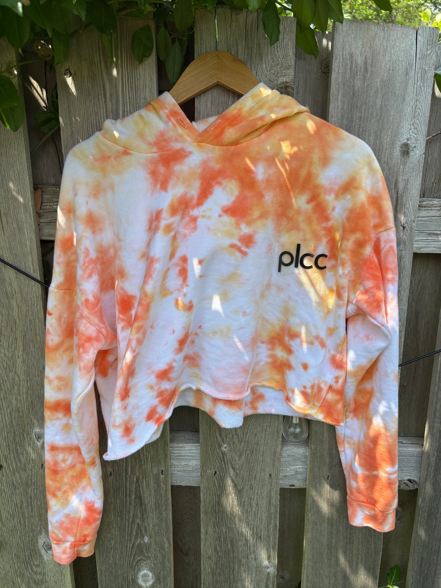 Orange You Glad To Be a Penguin Hoodie