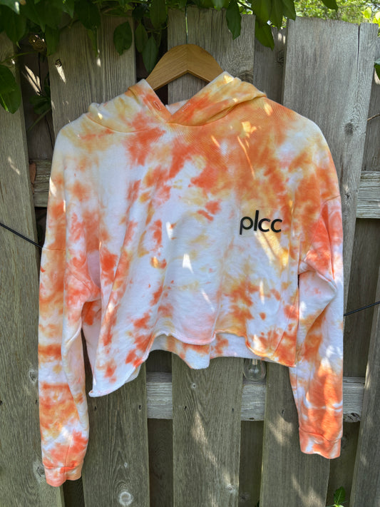 Orange You Glad To Be a Penguin Hoodie